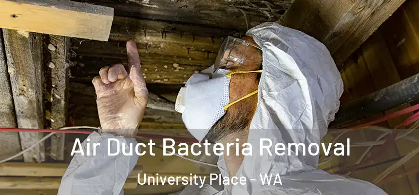  Air Duct Bacteria Removal University Place - WA