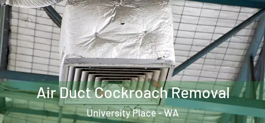 Air Duct Cockroach Removal University Place - WA