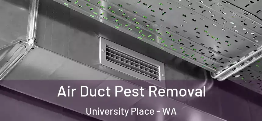  Air Duct Pest Removal University Place - WA