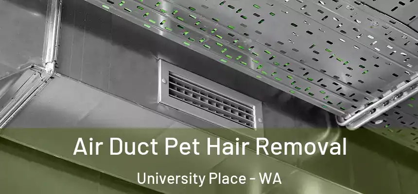 Air Duct Pet Hair Removal University Place - WA