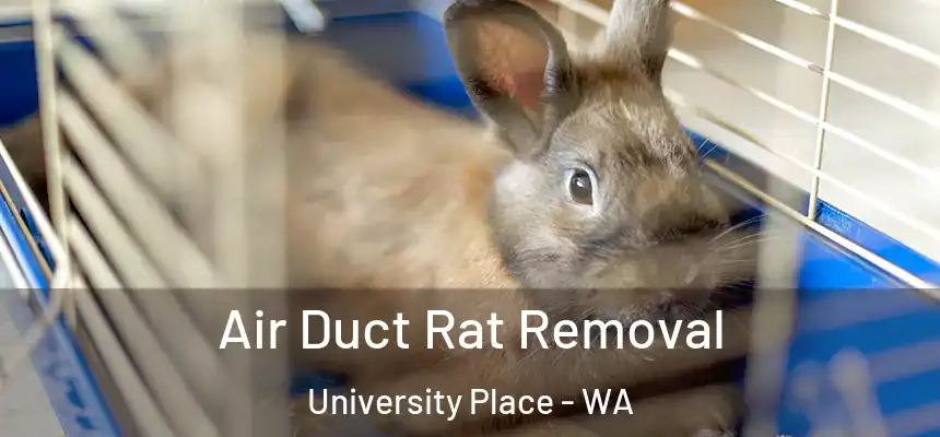  Air Duct Rat Removal University Place - WA
