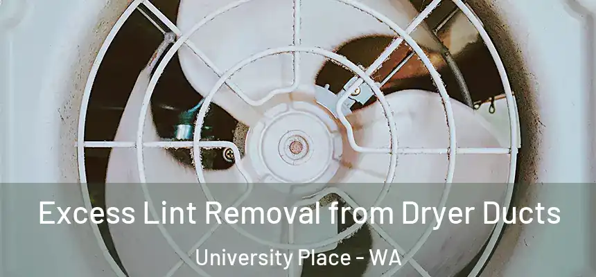  Excess Lint Removal from Dryer Ducts University Place - WA