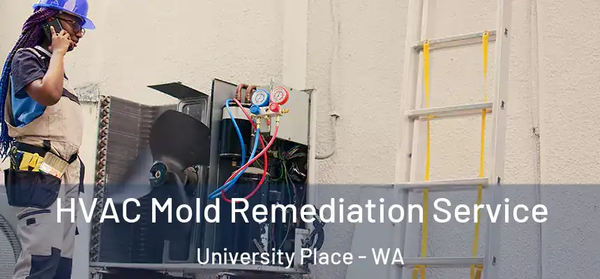  HVAC Mold Remediation Service University Place - WA
