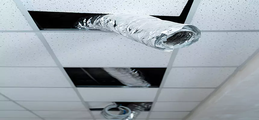 Our Air Duct Pet Hair Removal Services in University Place, WA