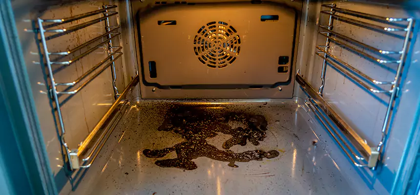 Our Dryer Vent Mold Cleaning Services in University Place, WA