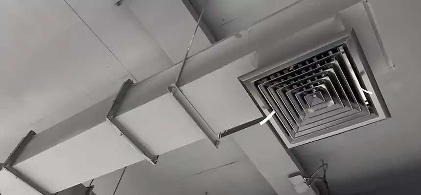 Our Rodent Droppings In Vents Services in University Place, WA