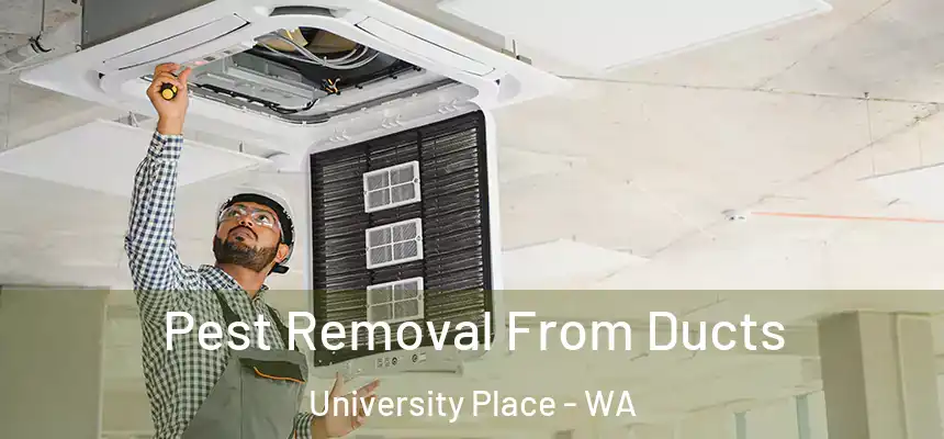 Pest Removal From Ducts University Place - WA