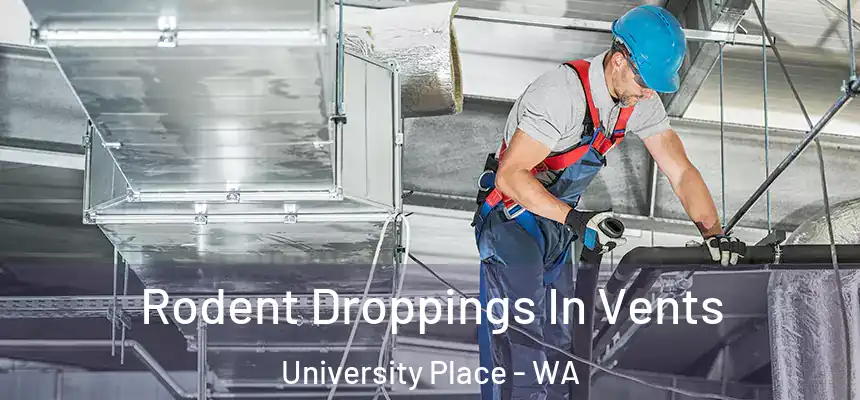  Rodent Droppings In Vents University Place - WA