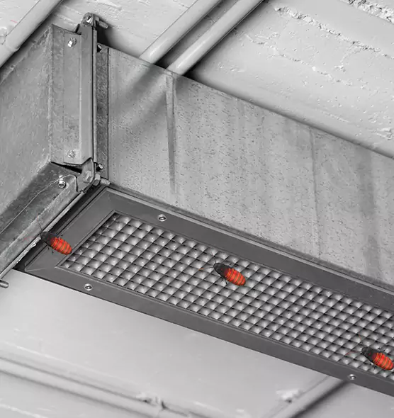 About Air Duct Cockroach Removal in University Place, WA