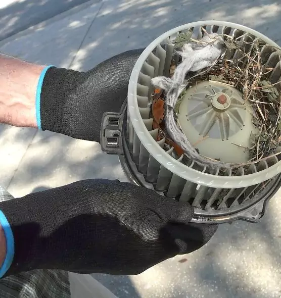 About Air Duct Rat Removal in University Place, WA