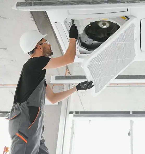 About Air Duct Rodent Removal in University Place, WA