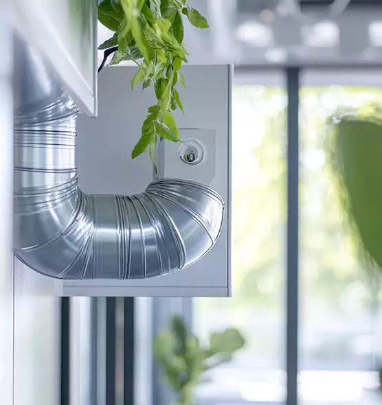 Professional Eco-Friendly Duct Cleaning Services in University Place, WA