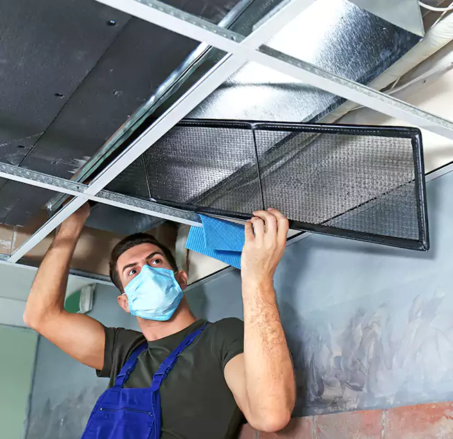 Why Homeowners Businesses Trust Us in University Place, WA