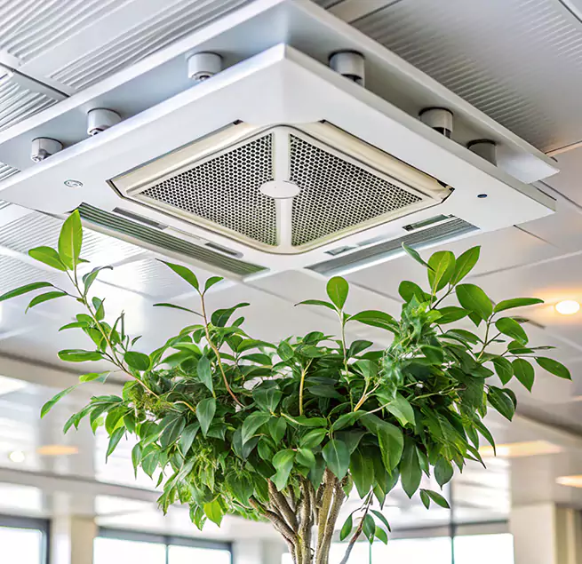 Why Homeowners & Businesses Trust Us in University Place, WA