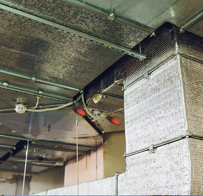 Why Homeowners & Businesses Trust Us University Place, WA?