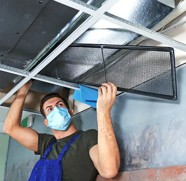 Why Homeowners & Businesses Trust Us in University Place, WA?