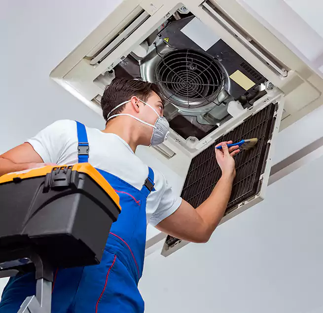 Why Homeowners & Businesses Trust Us in University Place, WA?